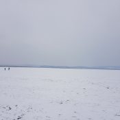 20180304_133707 20180304_133707