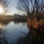 20180402_181622-3 20180402_181622-3