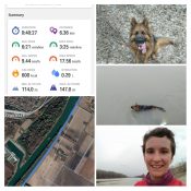 20190203_190558-COLLAGE 20190203_190558-COLLAGE