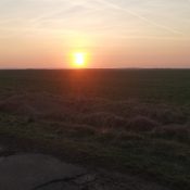 IMG_20200319_173622 IMG_20200319_173622