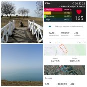 photocollage_2021228201734285 photocollage_2021228201734285
