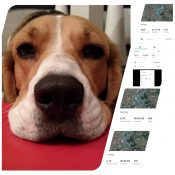 photocollage_20212718429425 photocollage_20212718429425