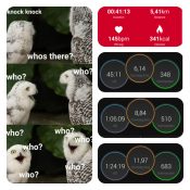 photocollage_2021372223691 photocollage_2021372223691