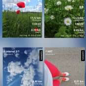 photocollage_2021530183516303 photocollage_2021530183516303