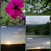 photocollage_2021613211453802 photocollage_2021613211453802