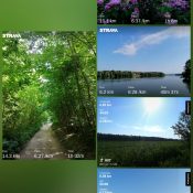 photocollage_2021620221434708 photocollage_2021620221434708
