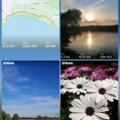 photocollage_2021674132609 photocollage_2021674132609