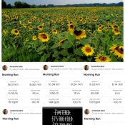 photocollage_2021718212037392 photocollage_2021718212037392