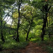 gerecse50_04 gerecse50_04